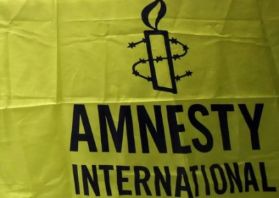 Кто кого? Украинская власть побила горшки с Amnesty International