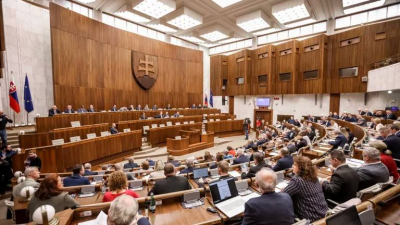 В парламенте Словакии заявили о «немыслимости» словацких военных на границе с Россией