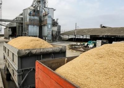 Украинский экспорт зерновых оказался под ударом