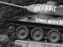 Украинский военный эксперт:  Немцы – поголовные «ватники», готовые встретить русские танки аплодисментами