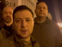 Упрямство — достоинство «ослов»