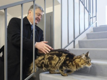 За сервильность и исполнительность Порошенко в американских кругах называют «домашним животным»