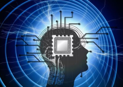 Правительство США подозревает компанию Маска Neuralink в распространении патогенов
