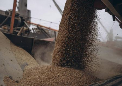В Польше недовольны слишком запоздалым решением о запрете ввоза зерна с Украины