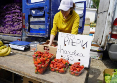 Мелитопольская клубника заполонила Крым