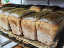 «Хлеб из мух сделанный». В Думе выступили против продуктов из насекомых, которыми могут начать кормить россиян