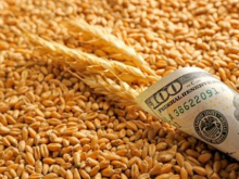Битва за урожай