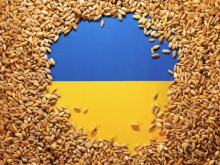 Страны ЕС требуют ввести пошлину на импорт украинского зерна