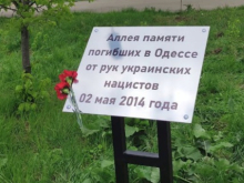В московском парке «Митино» высадили аллею сакур в память о погибших в Одесской Хатыни