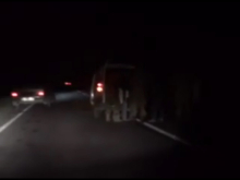 Террор на Херсонщине: пьяные украинские военные попали в ДТП на трассе, жертвами которого стали 8 человек