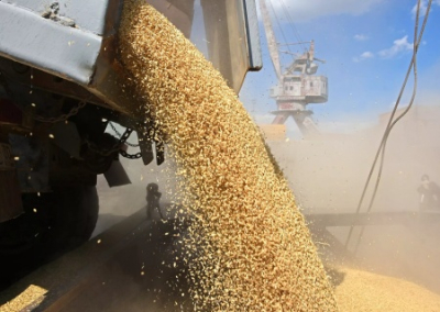 Китай и Россия подписали крупнейшую в истории отношений двух стран «зерновую сделку»