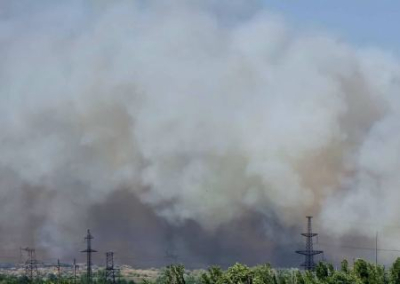 Вокруг Запорожской АЭС горят леса. Киев говорит о полном отключении ЗАЭС от энергосети