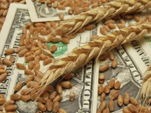 Польский министр призвал украинский олигархат продавать своё зерно в другом месте