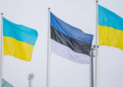 В Таллине митингуют против украинизации Эстонии и по примеру Украины угрожают высылкой православному митрополиту