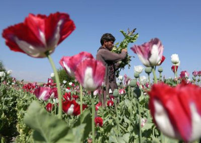 Россия может остановить поток наркотрафика из Афганистана
