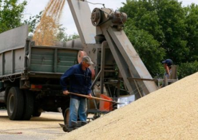 Польша запрещает ввоз зерна с Украины