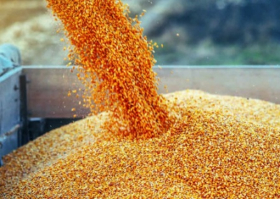 Украина больше не сможет ввозить в Евросоюз агропродукцию без пошлин