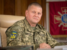 СДД, или Зачем Путин вспомнил про Залужного?