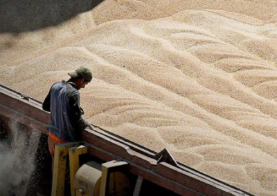 Россия продлила невыполняющуюся Западом зерновую сделку, потому что не потеряла надежду на выполнение