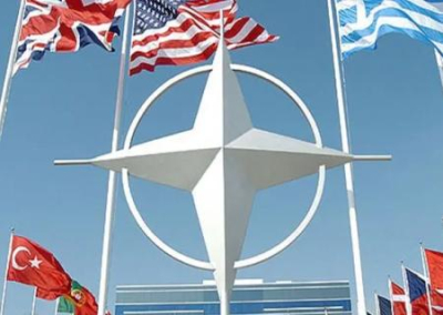 «Лиса больше лазить в курятник не будет — вырос волкодав»: Гаврилов о расширении НАТО