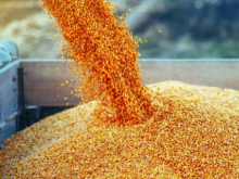 Украина больше не сможет ввозить в Евросоюз агропродукцию без пошлин