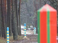 Зеленский попытается ввести ЧП из-за миграционного кризиса в Белоруссии и отсрочить выборы